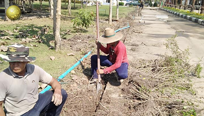 จัดภูมิทัศน์บริเวณโดยรอบองค์การบริหารส่วนตำบลถ้ำกระต่ายทอง