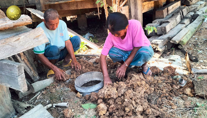 โครงการถังขยะเปียกในครัวเรือน